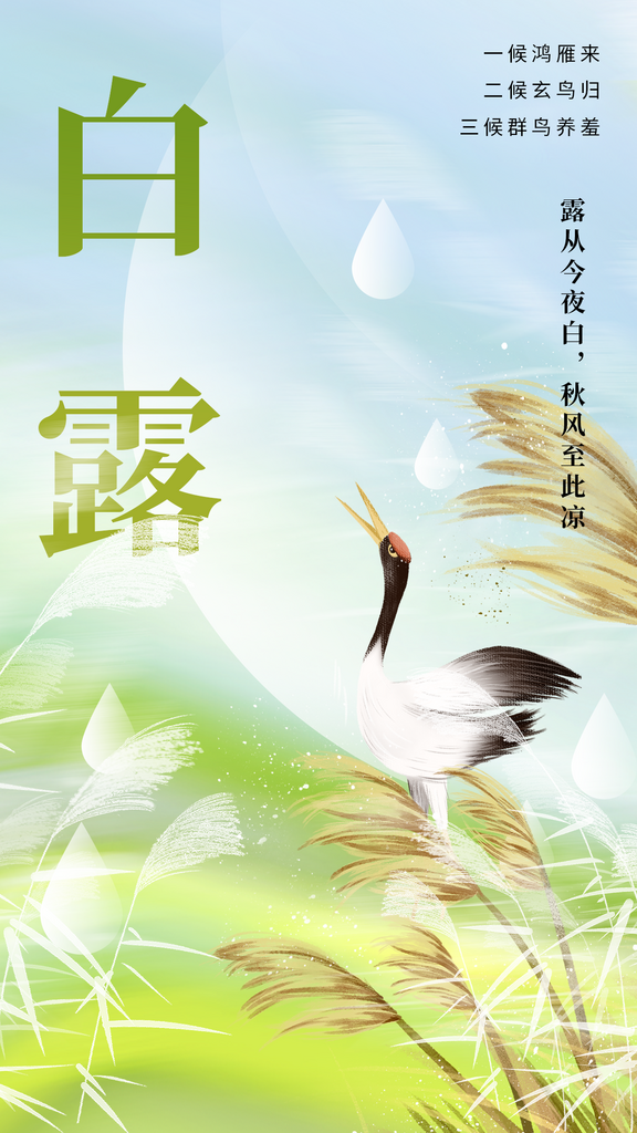 白露秋季白色复古海报素材