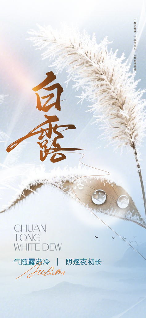 白露秋季白色复古海报素材