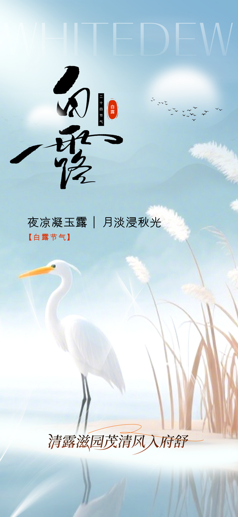 白露秋季白色复古海报素材