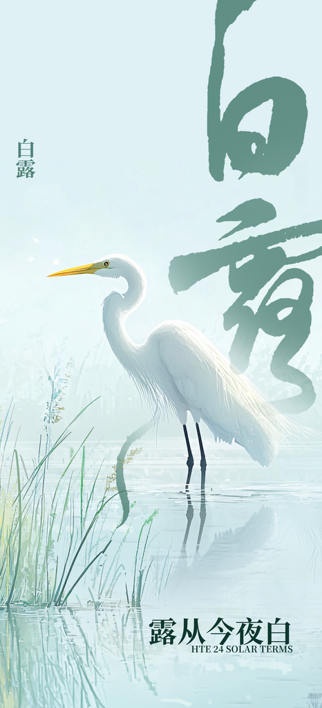 白露秋季白色复古海报素材