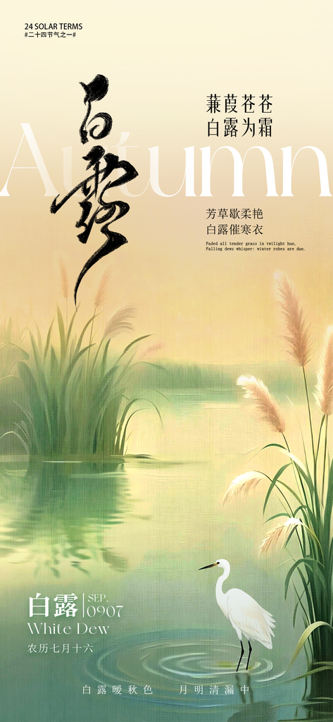 创意简约白露节气海报设计素材