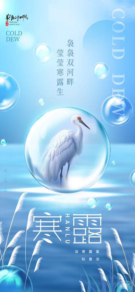 寒露二十四节气海报素材