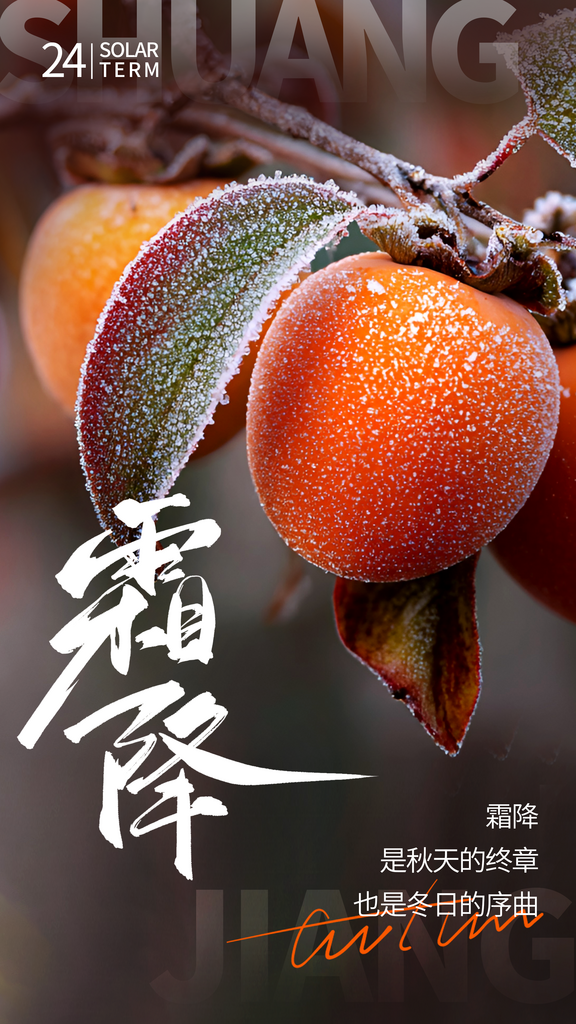 二十四节气霜降海报素材