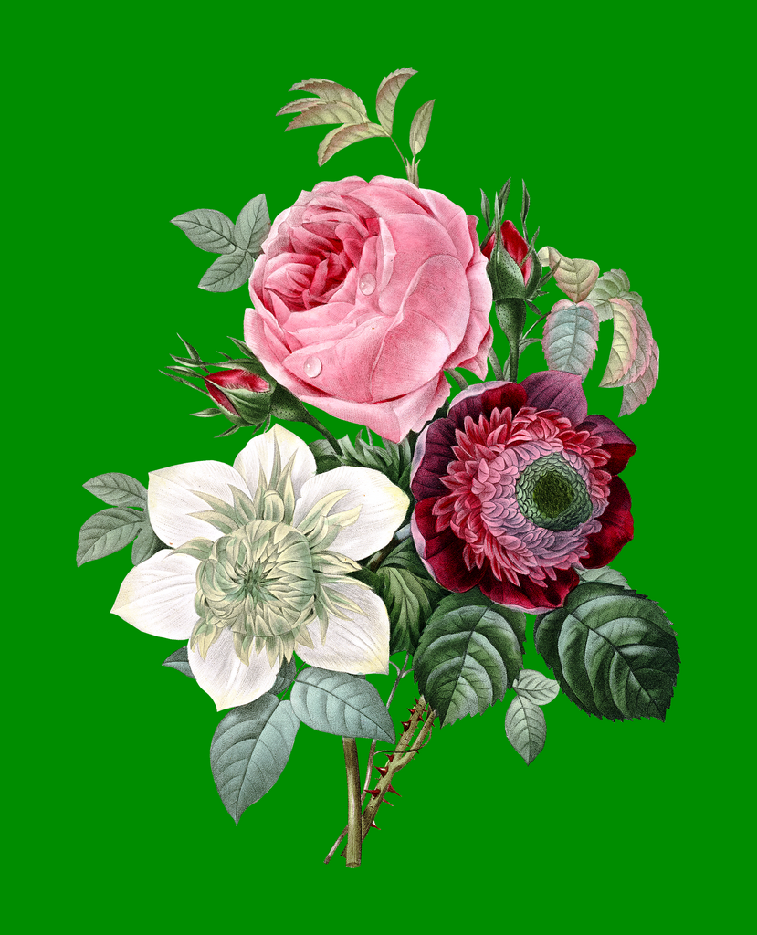 水彩花卉花束免抠图素材