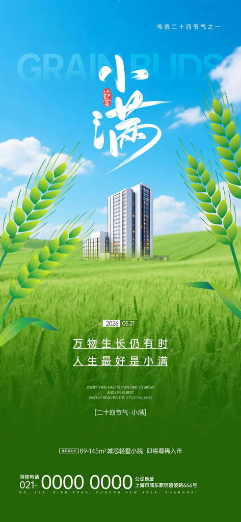 大米零售电商小满借势宣传海报素材