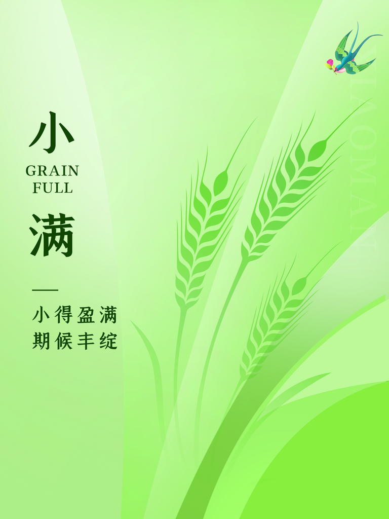 传统节气小满海报素材