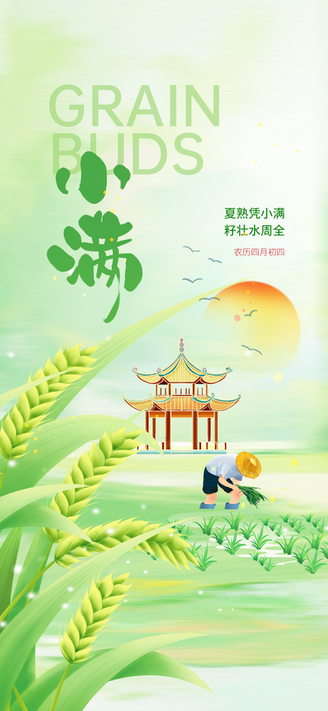 小满节气简约活动海报素材