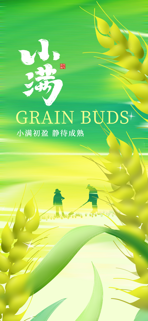 小满节气简约活动海报素材