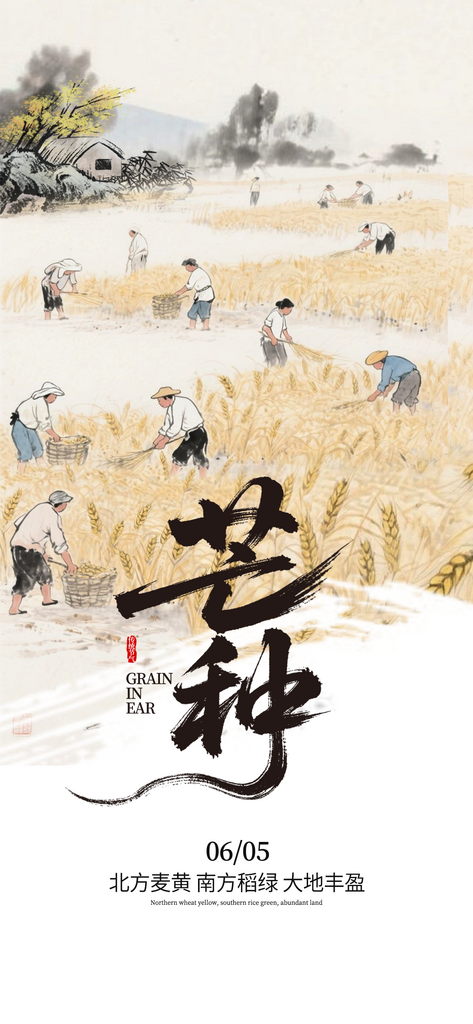 芒种拼合创意海报素材