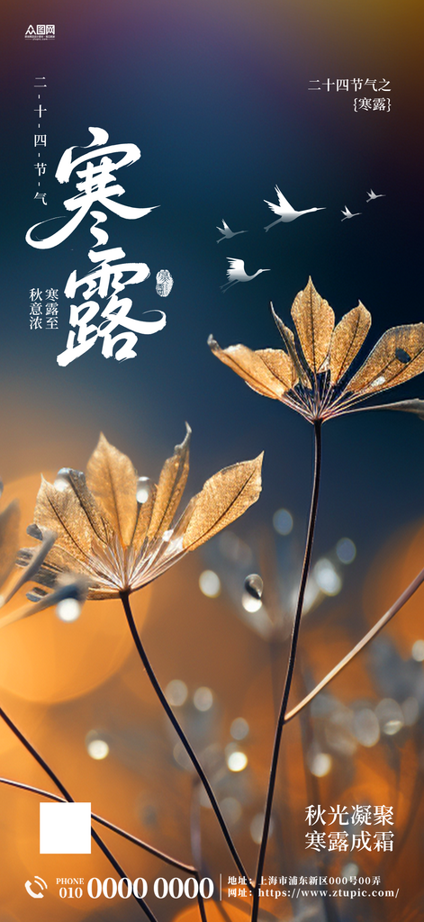 寒露二十四节气海报素材