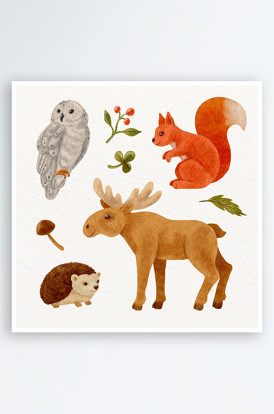 水彩画森林动物插图
