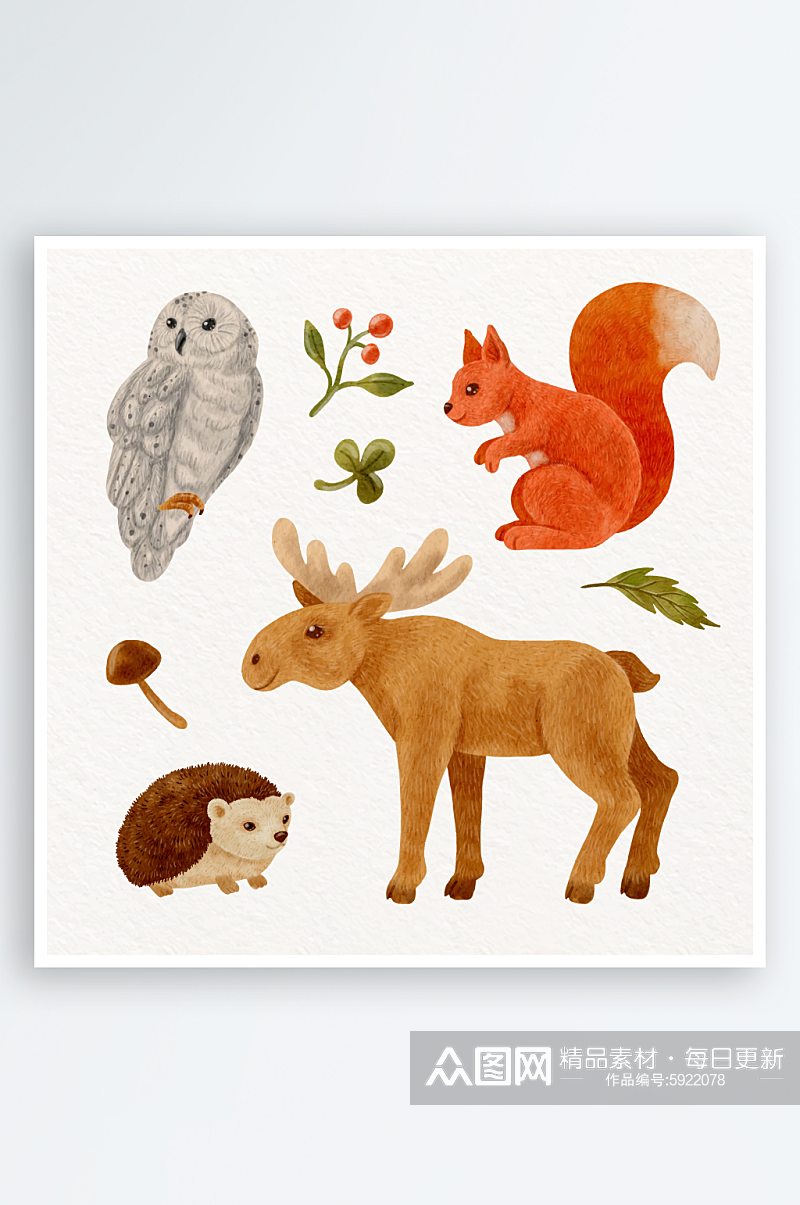 水彩画森林动物插图素材