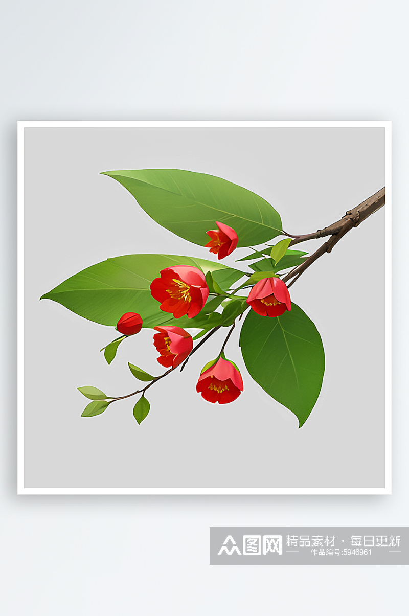 绿叶红花免抠元素素材素材