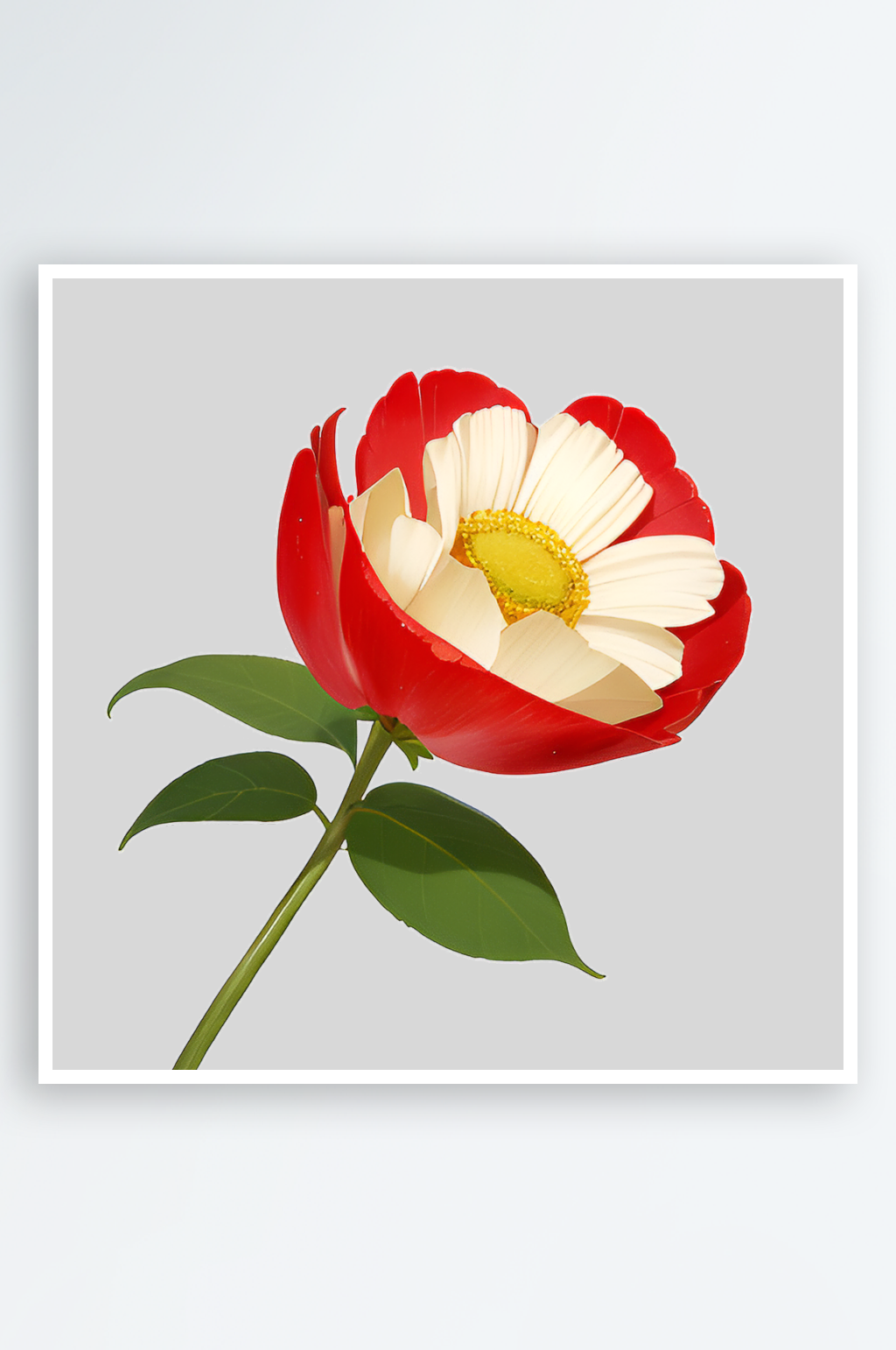春季简约花朵红花素材素材