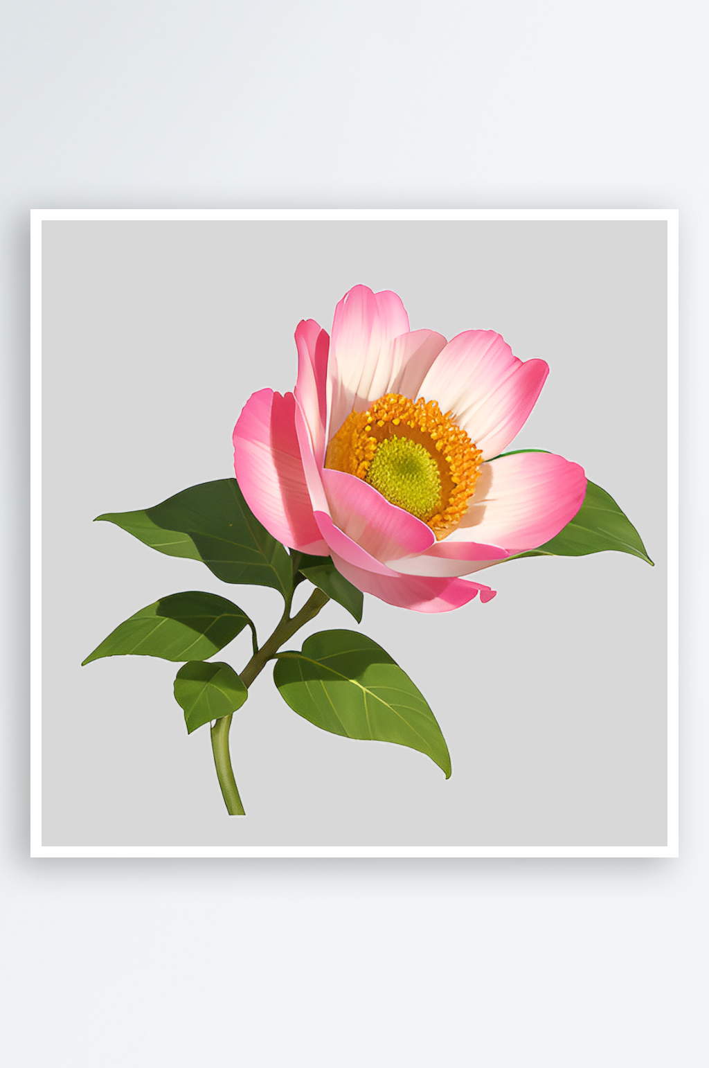 春季简约花朵红花素材素材