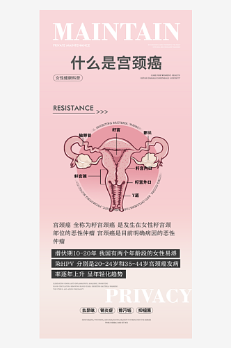 女性健康护理知识海报