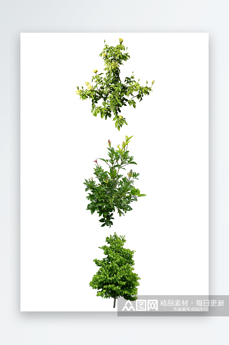 绿色植物PSD免抠素材素材