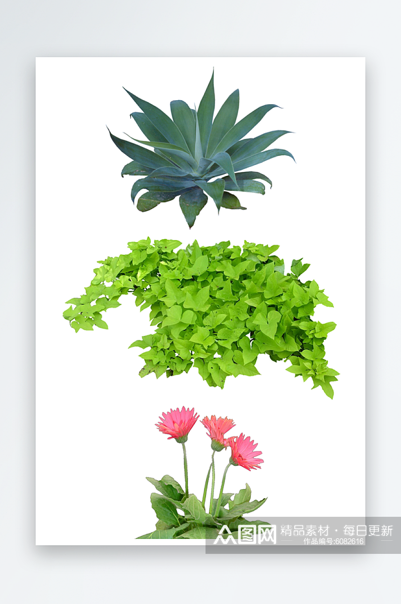 绿色植物PSD免抠素材素材