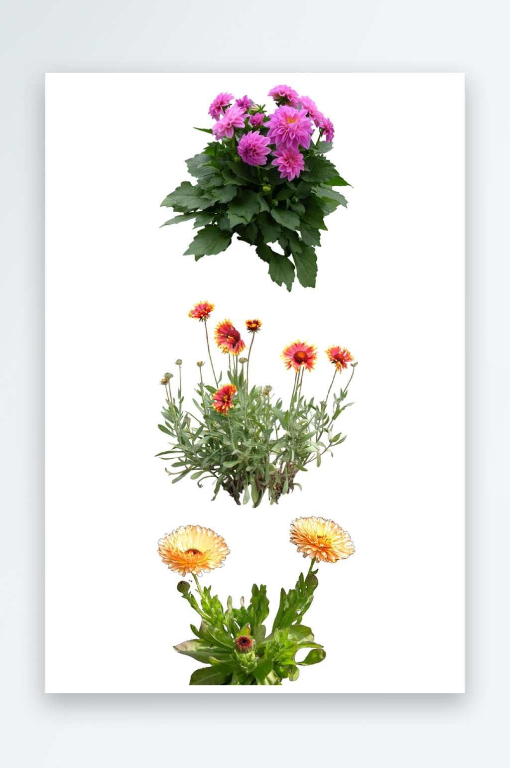 绿色植物PSD免抠素材素材下载-众图网