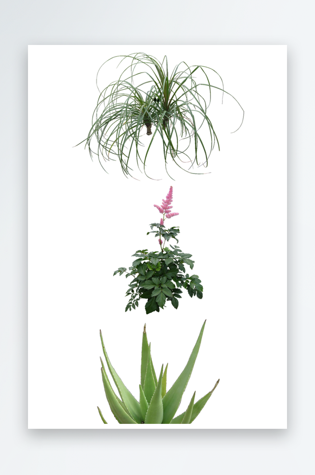 绿色植物PSD免抠素材素材