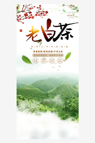 中华传统文化琴棋书画茶道养生海报