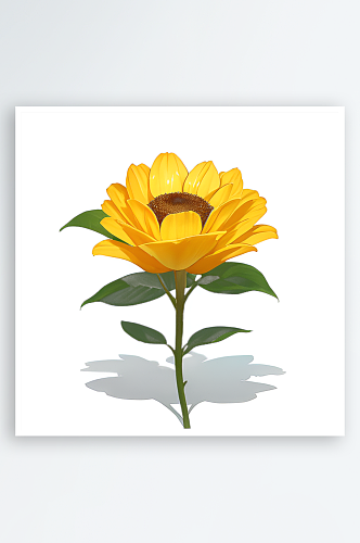 黄色花朵植物素材