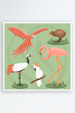 手绘鸟类动物插画