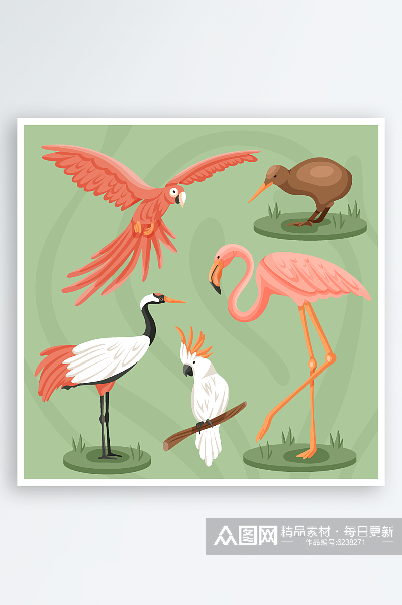 手绘鸟类动物插画素材