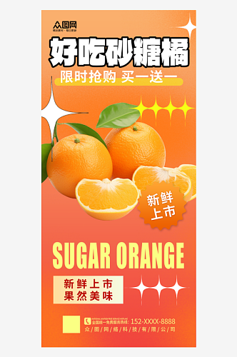 简洁简约广西砂糖橘桔子水果海报11