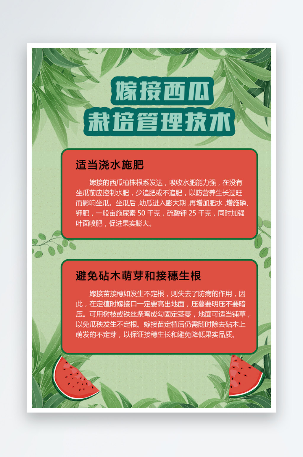 嫁接西瓜栽培管理农业技术海报素材