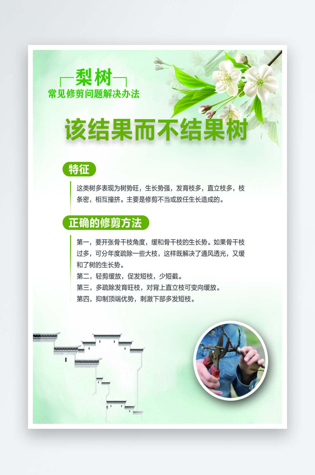梨树常见修剪问题解决办法海报素材