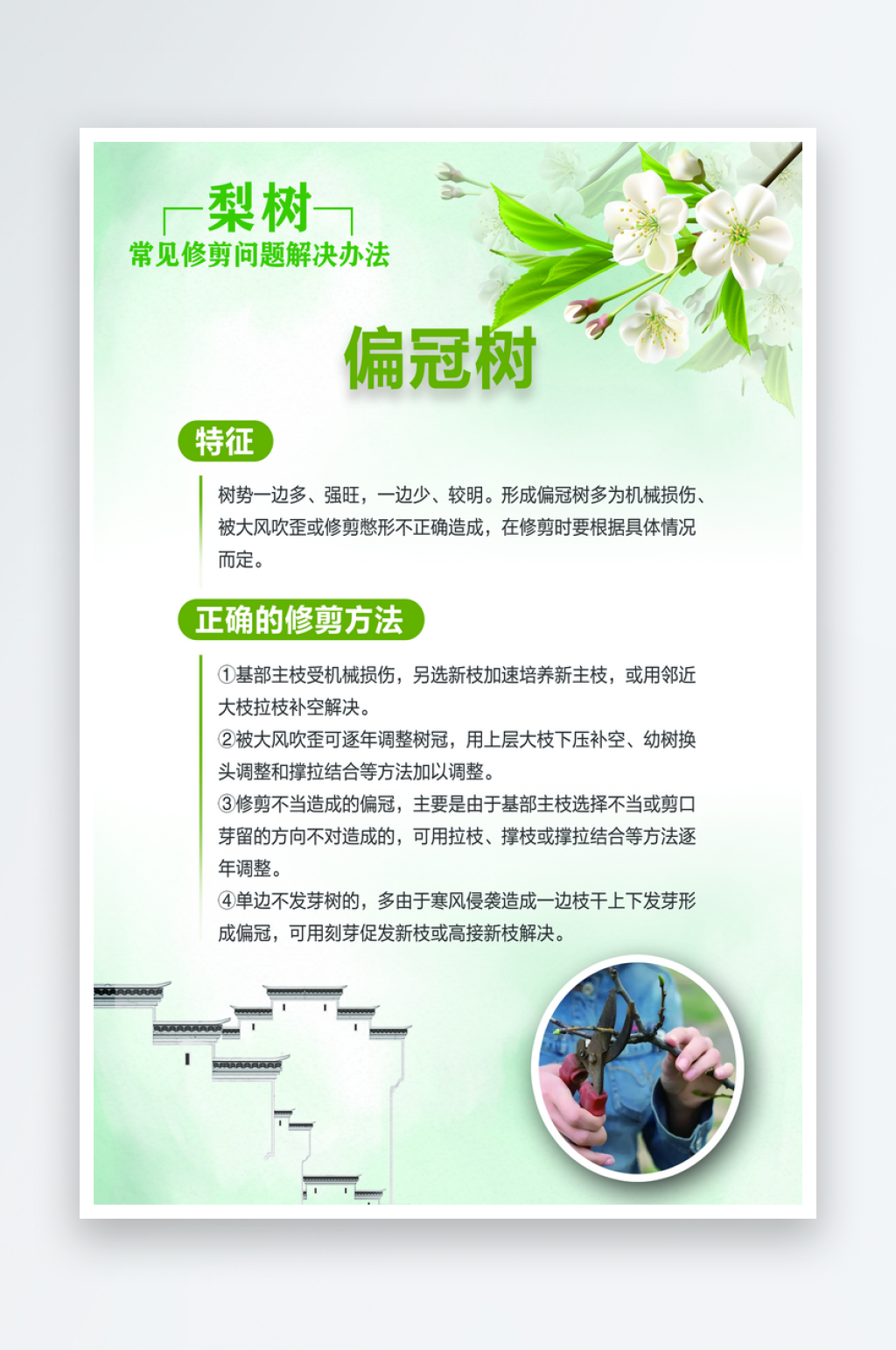 梨树常见修剪问题解决办法海报素材