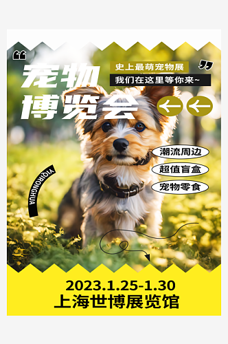 宠物博览会宣传海报