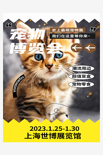 宠物博览会宣传海报