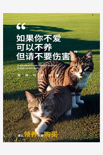 领养猫咪宣传海报