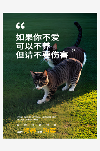 领养猫咪宣传海报
