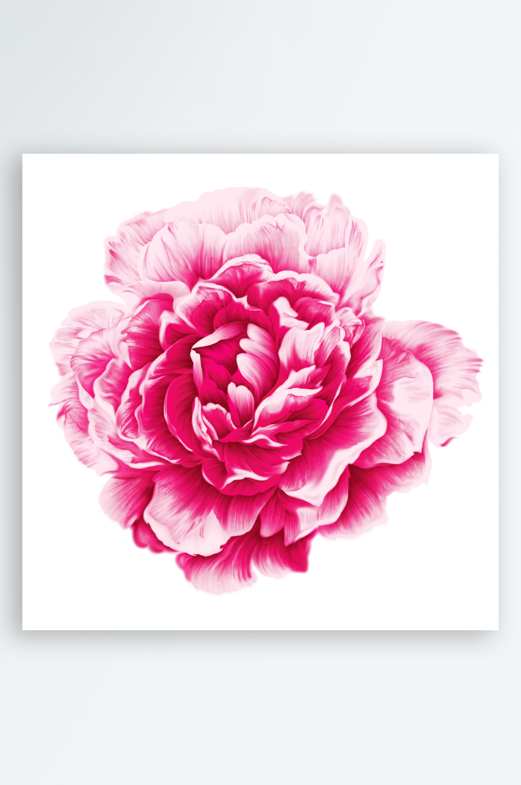 水彩花卉免抠元素素材素材
