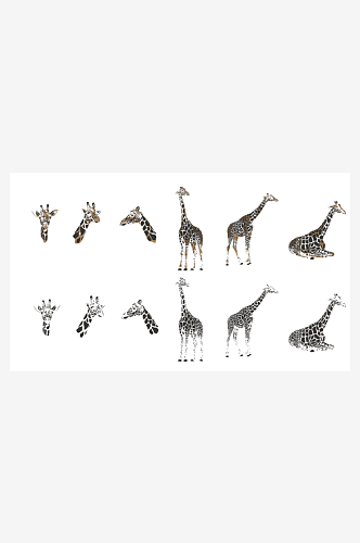 线描动物图形设计素材