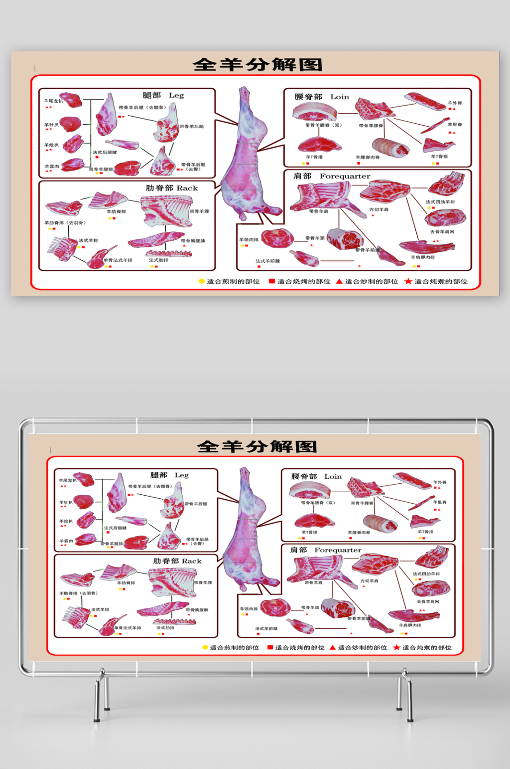 最新原创猪肉分割示意图素材