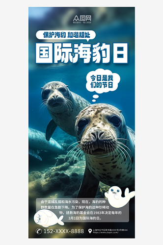 摄影风国际海豚日宣传海报