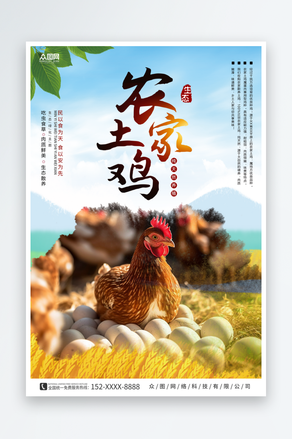 蓝色简约农家土鸡家禽宣传海报素材