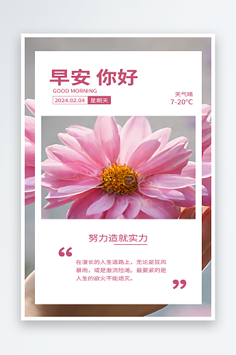 花朵早安你好正能量海报