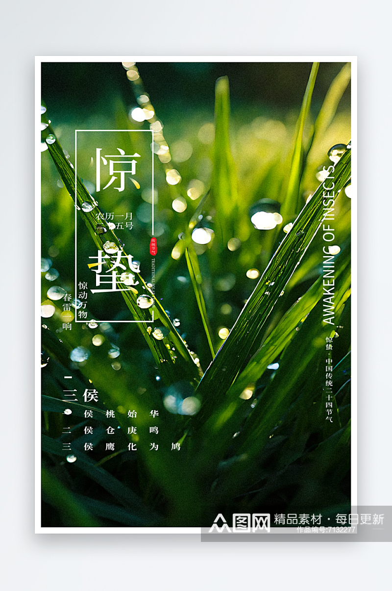 惊蛰节气摄影图海报素材