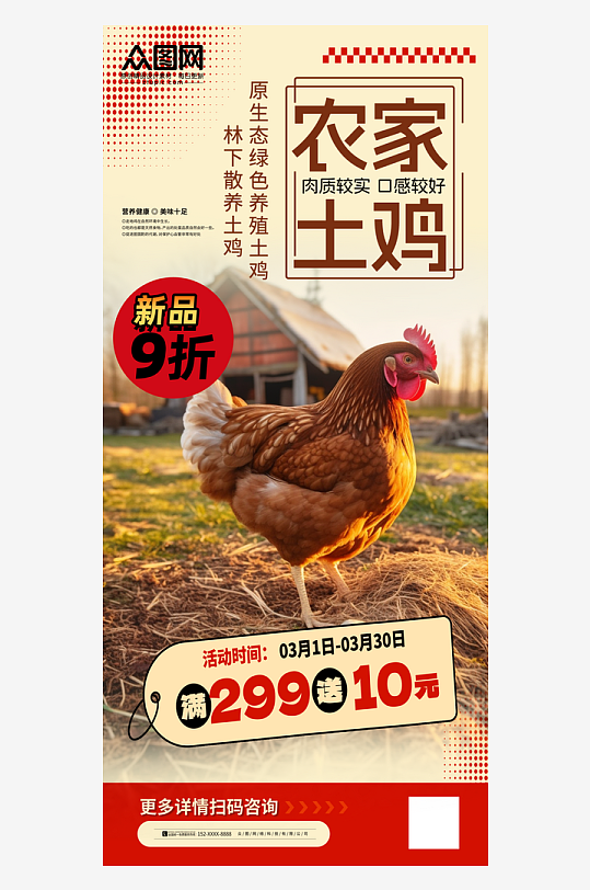 简洁农家土鸡家禽宣传海报
