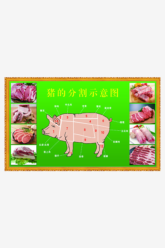 猪肉分割图素材_猪肉分割图模板_猪肉分割图设计图片免费下载-众图网