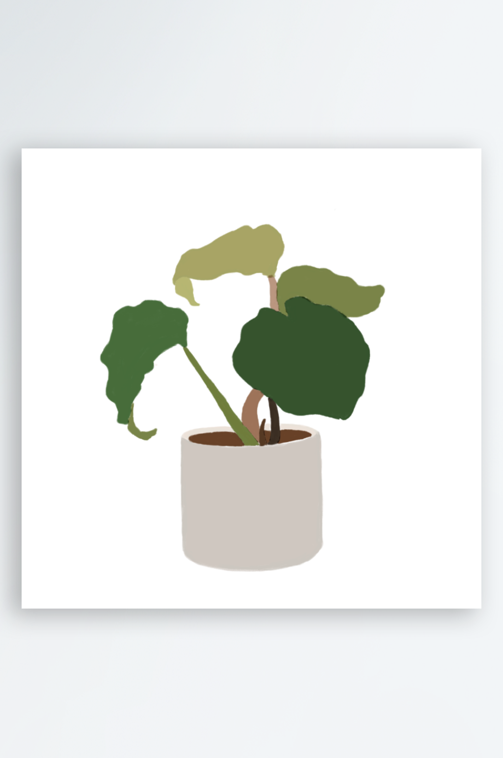 肌理绿色盆栽植物素材