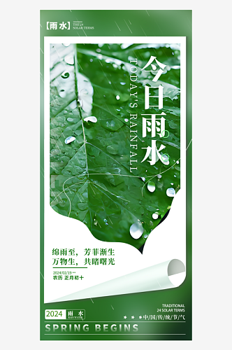 雨水节气摄影图海报