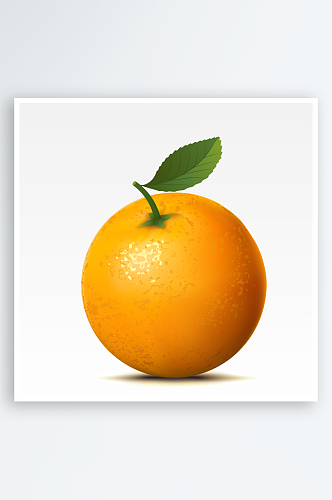 手绘矢量橙子水果素材