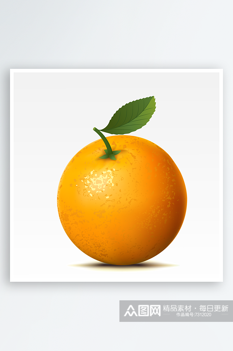 手绘矢量橙子水果素材素材
