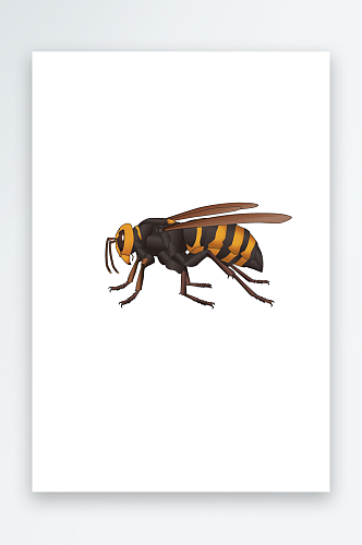 矢量昆虫蜜蜂素材